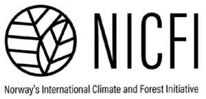 logo-nicfi.png